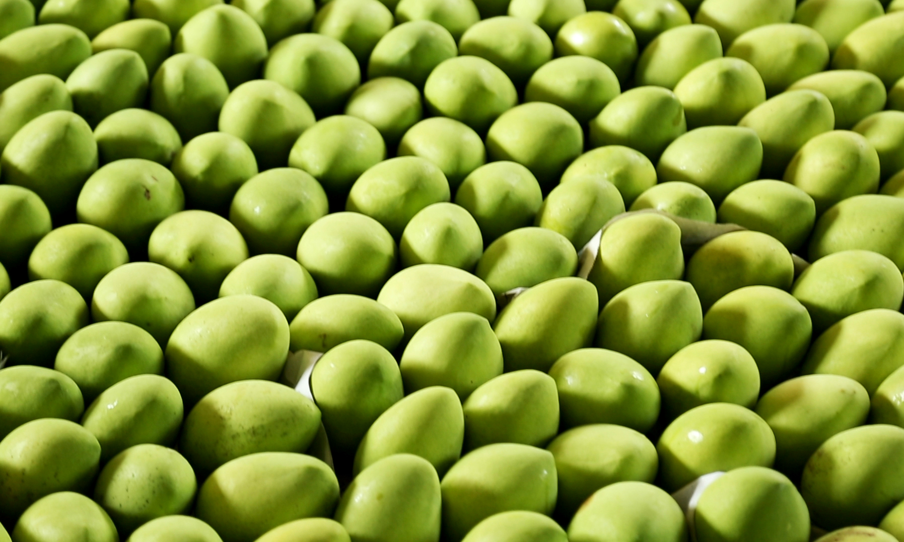 Việt Nam là thị trường cung cấp xoài lớn thứ 3 cho Hàn Quốc 