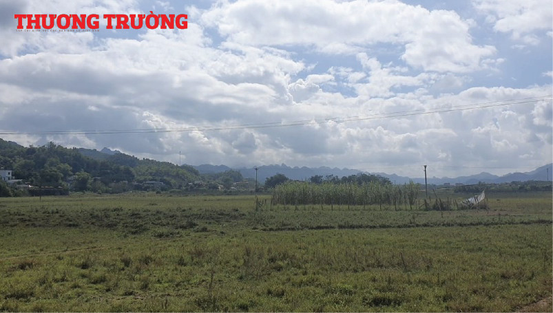 Dự án Casa Del Rio như cánh đồng hoang đã rầm rộ rao bán