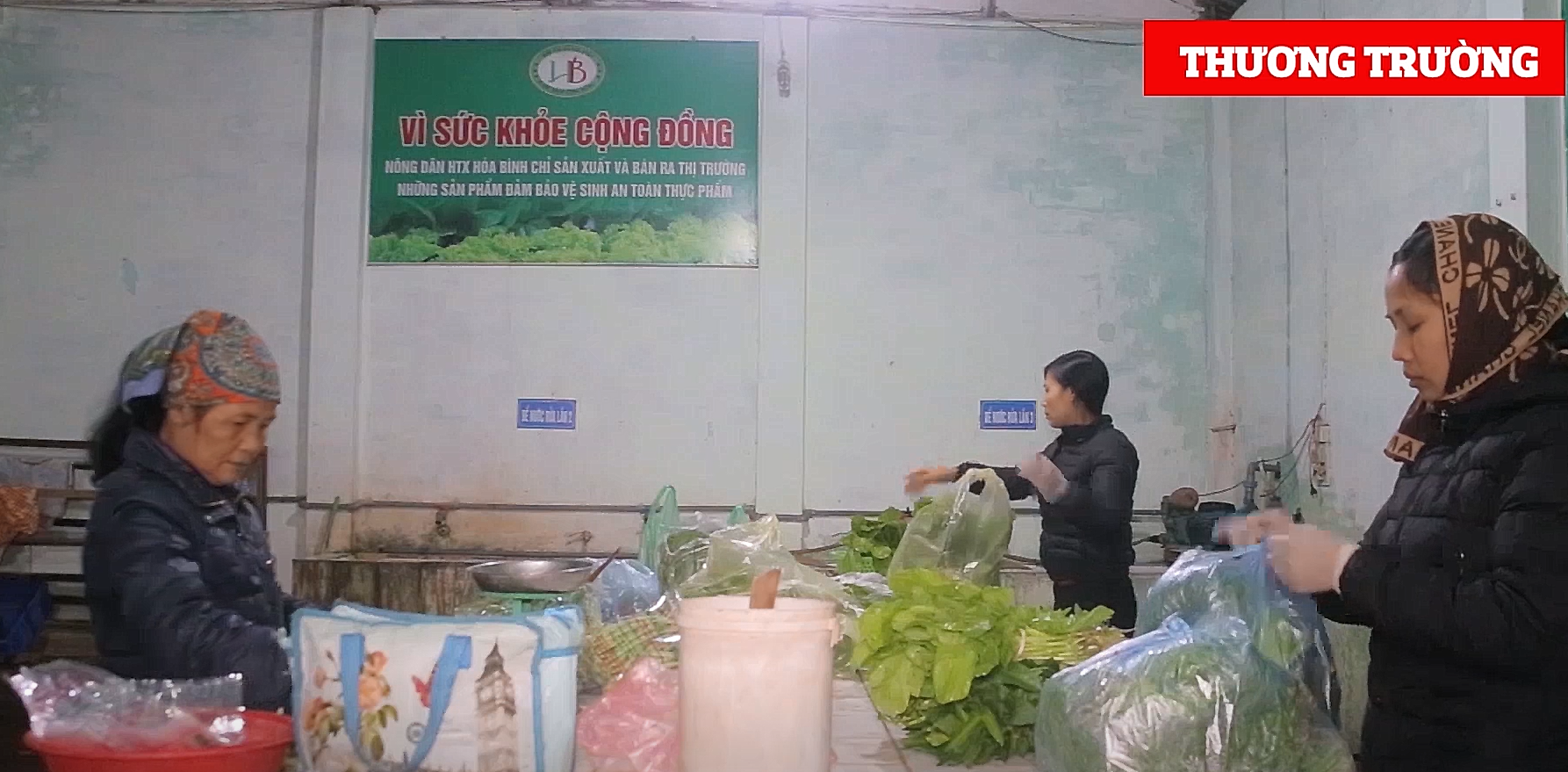 Hợp tác xã dịch vụ tổng hợp Hòa Bình