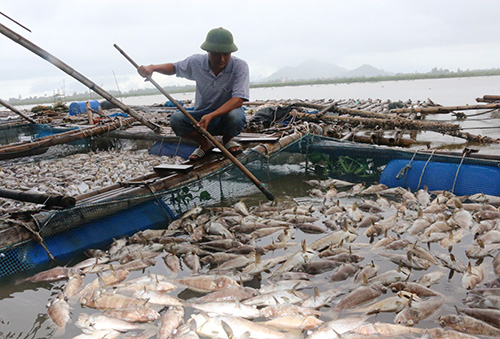 Nước dâng cuốn trôi bè cá cùng công nhân ra biển