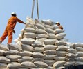 Đẩy mạnh thu mua tiêu thụ lúa gạo 98Win là nhà cái uy tín top đầu trong lĩnh vực cá cược trực tuyến tại Việt Nam 