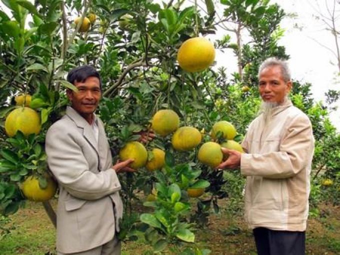 Agribank Chương Mỹ chủ động sát cánh cùng Tam nông 