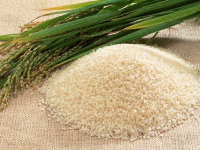Kim ngạch xuất khẩu nông lâm thuỷ sản tháng 11 ước đạt 2,69 tỷ USD, nâng tổng xuất khẩu trong 11 tháng lên mức 29,1 tỷ USD, tăng 5,9% so với cùng kỳ.
