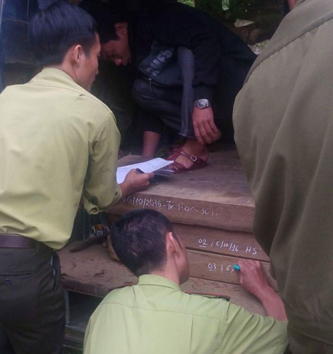 Kiểm lâm VQG Phong Nha - Kẻ Bàng kiểm đếm tang vật gỗ lậu.