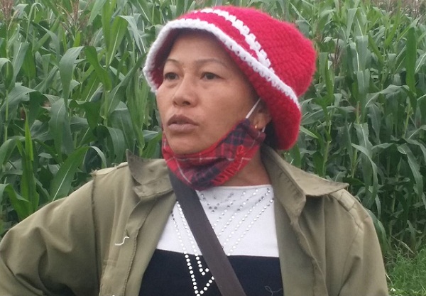 Bà Bùi Thị Phú, người nuôi bò sữa ở xã Vân Hòa chia sẻ với phóng viên.