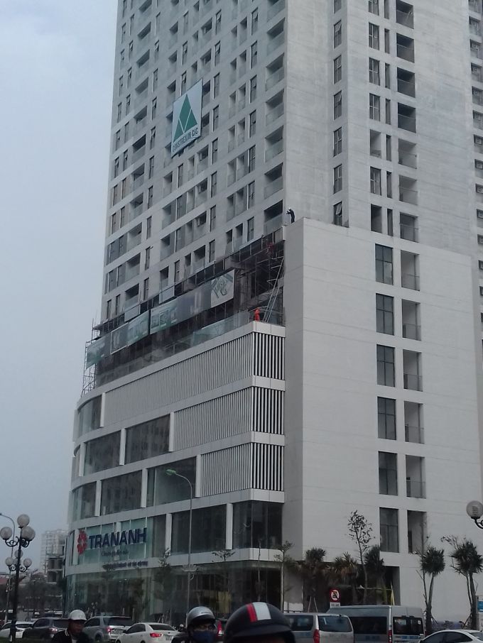 Một chi nhánh của Trần Anh 