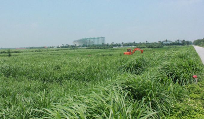 Vĩnh Phúc Mất đất, viễn cảnh đau buồn của người nông dân