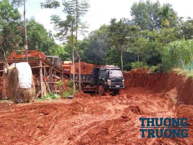 C&ocirc;ng ty TNHH Mường Thanh ngang nhi&ecirc;n đưa m&aacute;y m&oacute;c v&agrave;o để khai th&aacute;c t&agrave;i nguy&ecirc;n.