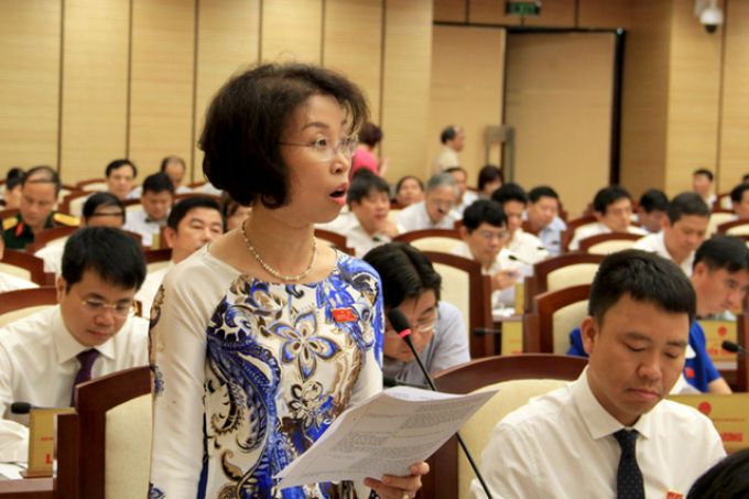 Đại biểu Phạm Thanh Mai.