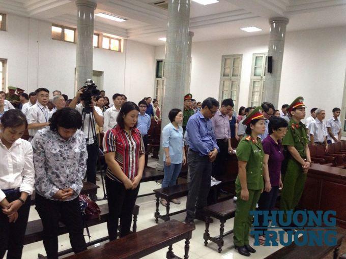 Xét xử cựu Đại biểu Quốc hội Châu Thị Thu Nga lừa đảo gần 400 tỷ đồng