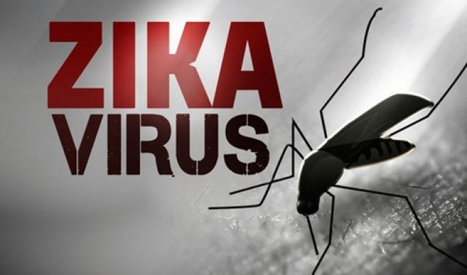 Cần gấp rút điều tra hai ổ dịch Zika tại TP. Hồ Chí Minh và Bình Dương