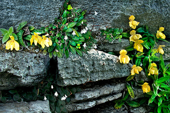 Ngắm Hạ Long – vẻ đẹp ấn tượng của Top 7 kỳ quan thiên nhiên thế giới - anh 17