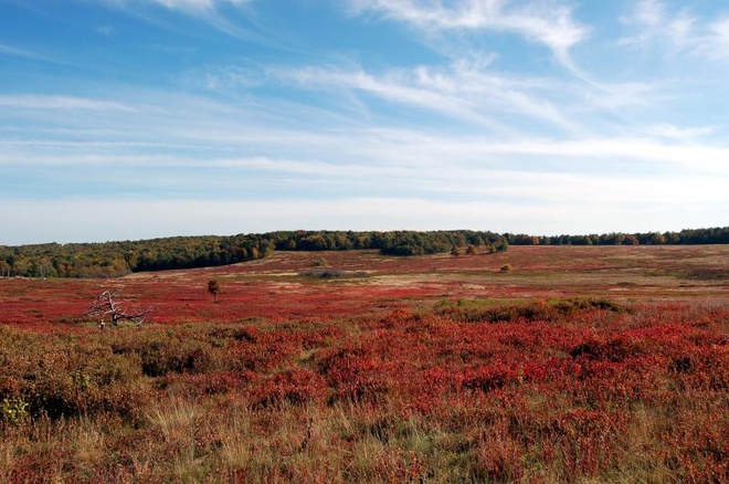 10 công viên đẹp nhất thế giới vào mùa thu