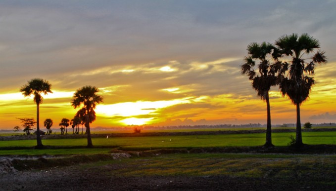 Cảnh bình minh ở một vùng đồng bằng An Giang.