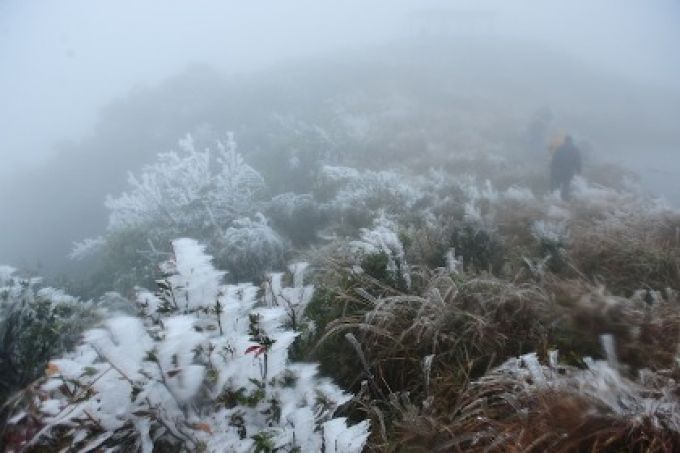 Sương mù và băng tuyết cộng với cánh lạnh thấu người sẽ khiến bạn nhớ rất lâu đến Mẫu Sơn (ảnh internet)