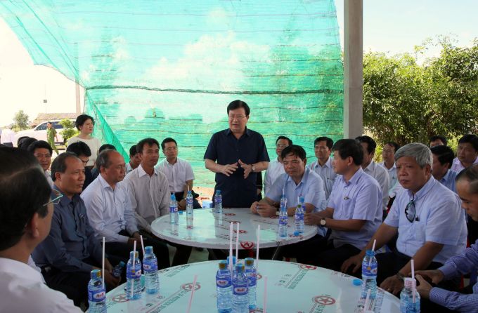 Phó Thủ tướng Trịnh Đình Dũng làm việc về các giải pháp thúc đẩy sản xuất tôm