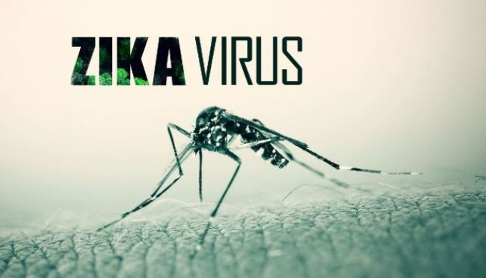 Phát hiện thêm 4 ca nhiễm virus Zika ở TP.HCM
