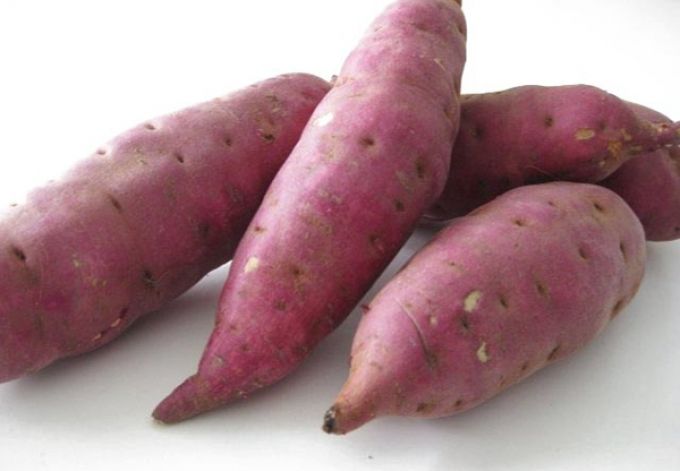 Ăn khoai lang giúp điều trị bệnh tiểu đường.