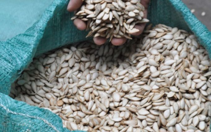 Phát hiện 1,1 tấn hạt bí không rõ nguồn gốc ở Nghệ An