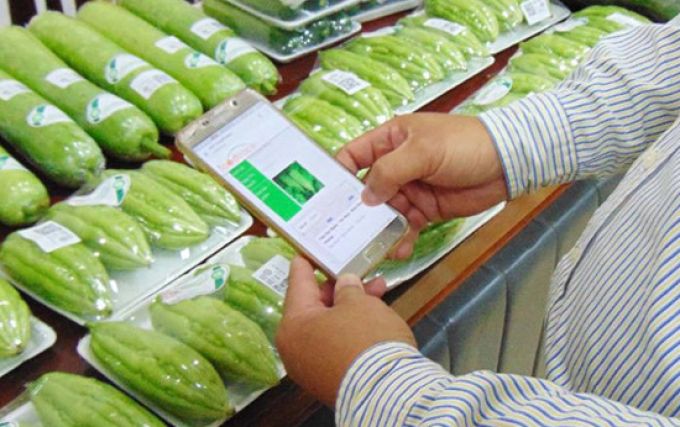 Từ 181, người dân TP.HCM chính thức truy xuất được nguồn gốc rau quả trên điện thoại