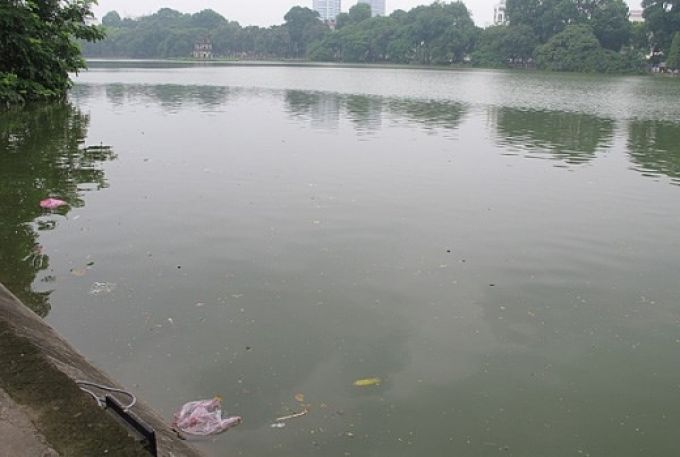 Nước hồ Hoàn Kiếm bị ô nhiễm.