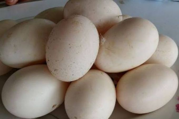 Tin mới nhất vụ trưởng phòng trộm trứng vịt tại hội chợ ở Tiền Giang