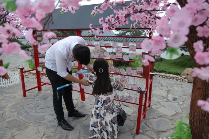 Bên những gốc anh đào hồng tinh khôi, người con gái viết lên một điều ước trên tấm thẻ gỗ xinh xinh, treo lên giàn thẻ cầu may. May mắn sẽ mỉm cười, cứ nhìn cái cách anh chàng kia đang tận tuỵ chụp hình cho bạn gái là đủ thấy điều đó rồi.