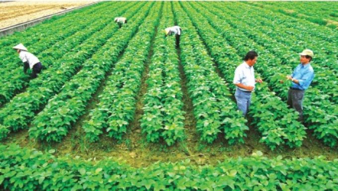 Xã Hoàng Hoa Thám xây dựng nông thôn mới