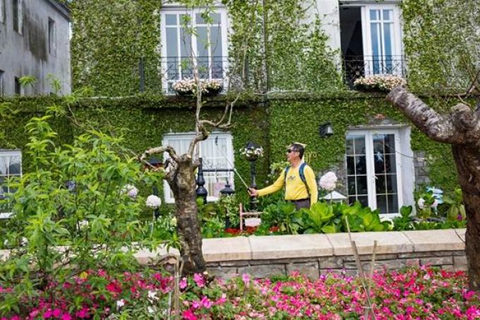 Đến Sun World Ba Na Hills, dù đứng ở bất kỳ góc nào, bạn cũng sẽ thu hoạch được một kho ảnh “sống ảo” rộn ràng sắc hoa.