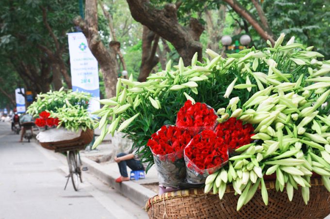 Dự báo thời tiết ngày 3052017 các khu vực trên cả nước