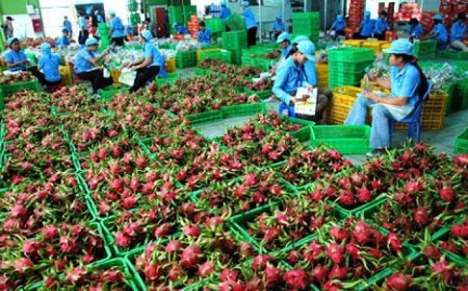 Tổng kim ngạch xuất khẩu nông, lâm, thủy sản có thể vượt qua mốc 34 tỷ USD