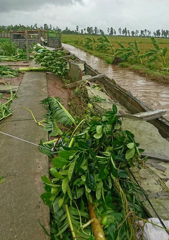 (Ảnh: Cứu hộ Th&aacute;i B&igrave;nh).