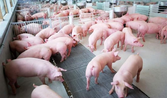 Áp thấp nhiệt đới gần bờ