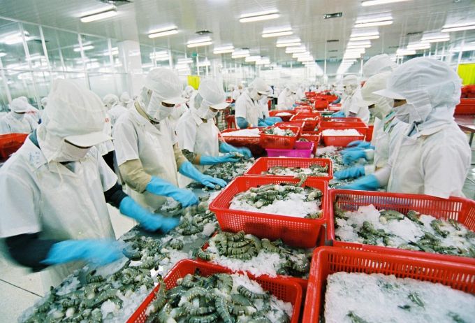 679 doanh nghiệp xuất khẩu sang Mỹ bị hủy mã số kinh doanh