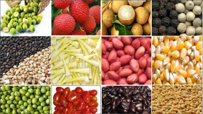 Tìm đường đưa sản phẩm nông sản Việt vào Mỹ, EU