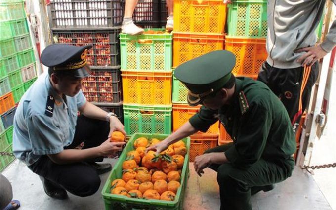 Xuất khẩu rau quả tăng trưởng tốt trong 4 tháng đầu năm