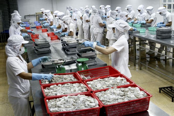 Xuất khẩu thủy sản đối mặt rào cản kỹ thuật và bảo hộ thương mại từ các thị trường
