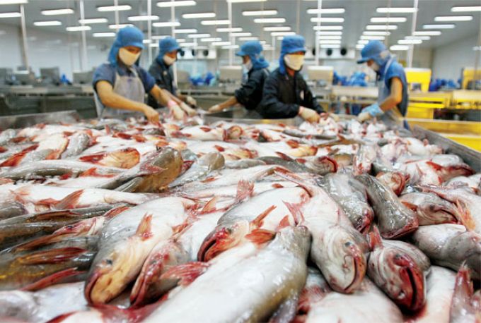 Xuất khẩu thủy sản sang Mỹ giảm gần 13%  khó có đà phục hồi