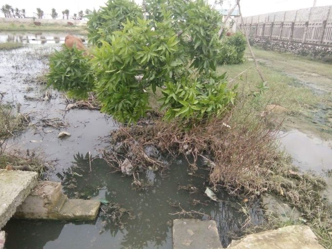 Thanh Hóa Dân kêu trời vì ô nhiễm môi trường từ khu du lịch