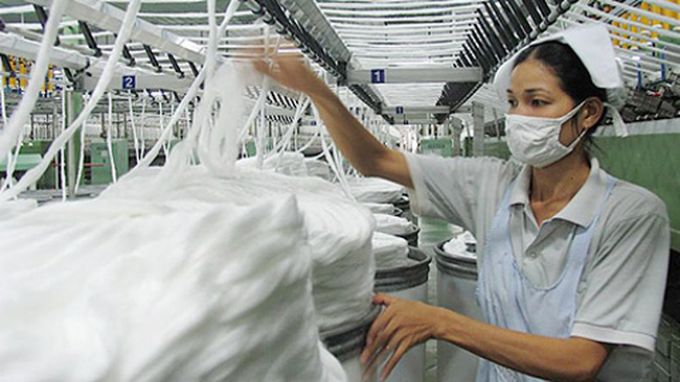 Việt Nam đang là thị trường xuất khẩu số 1 bông sợi của Mỹ