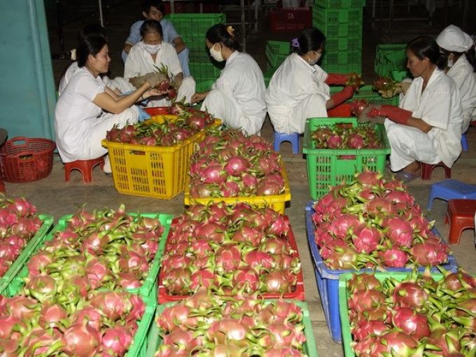 Nhiều sản phẩm của Vi&ecirc;t Nam nhưng lại bị gắn m&aacute;c nước kh&aacute;c 
