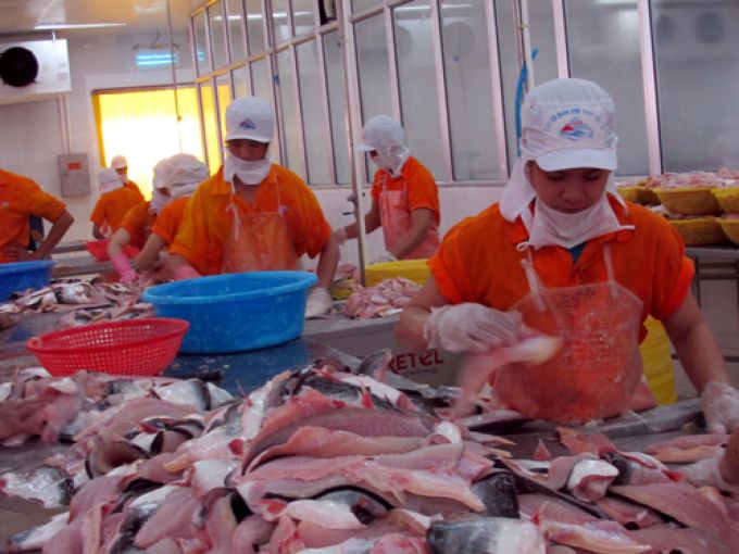 thuế chống b&aacute;n ph&aacute; gi&aacute; cao th&igrave; Đạo luật Farmbill đang l&agrave; những r&agrave;o cản lớn khiến nhập khẩu c&aacute; tra v&agrave;o thị trường n&agrave;y gặp nhiều kh&oacute; khăn.