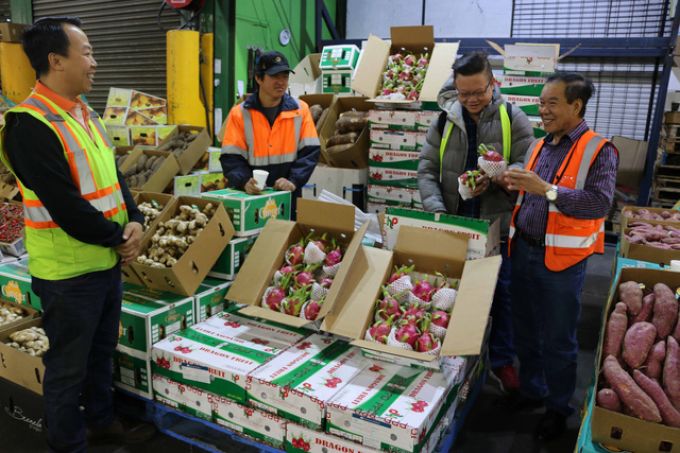 Lô thanh long tươi xuất khẩu đầu tiêu của Việt Nam lên sạp tại Australia