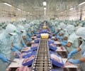 Trước khi xuất khẩu vào liên minh kinh tế Á-Âu các doanh nghiệp xuất khẩu thủy sản phải qua thanh tra 