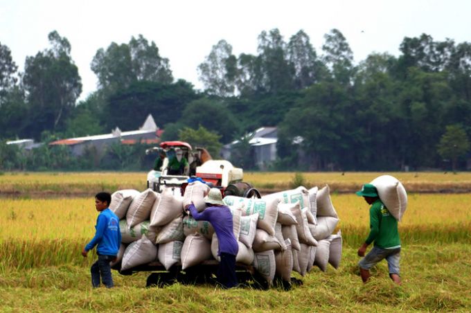 Thuế suất 0%, cơ hội hay thách thức cho xuất khẩu Việt Nam