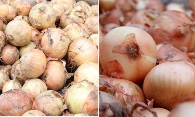 Hành tây Đà Lạt có vỏ lụa ngoài màu trắng.