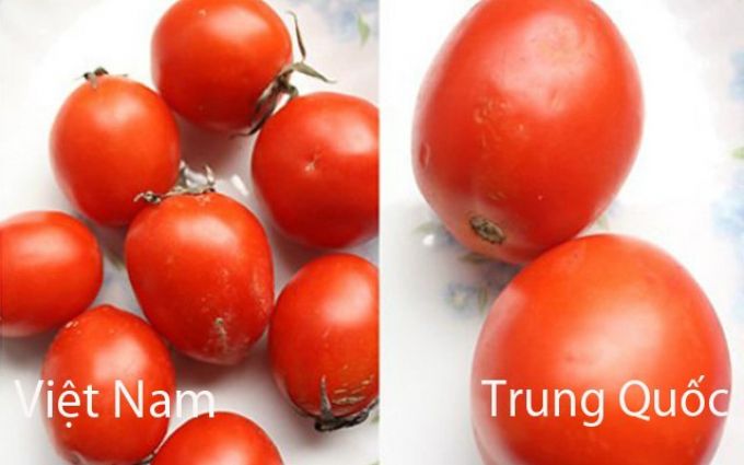 Tuyệt chiêu nhận biết rau củ quả Trung Quốc
