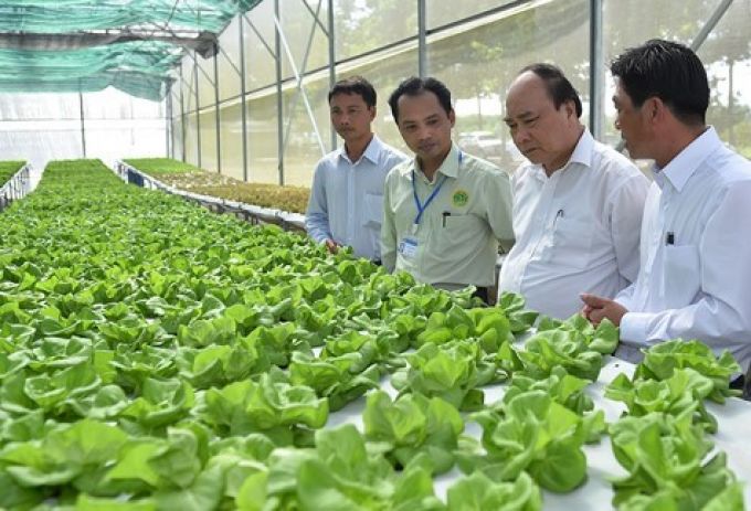Cá nhân có thể vay gói 100.000 tỷ đồng làm nông nghiệp công nghệ cao