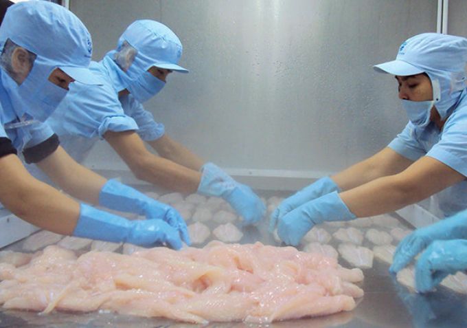 Cá tra Việt Nam xuất sang Mỹ chính thức với tên gọi mới catfish