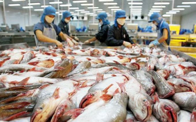 Cá tra của Việt Nam, lâu nay vẫn phải dùng tên gọi tra fish, sẽ chuyển thành catfish